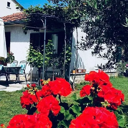 Studio Benassi Porec Exterior photo