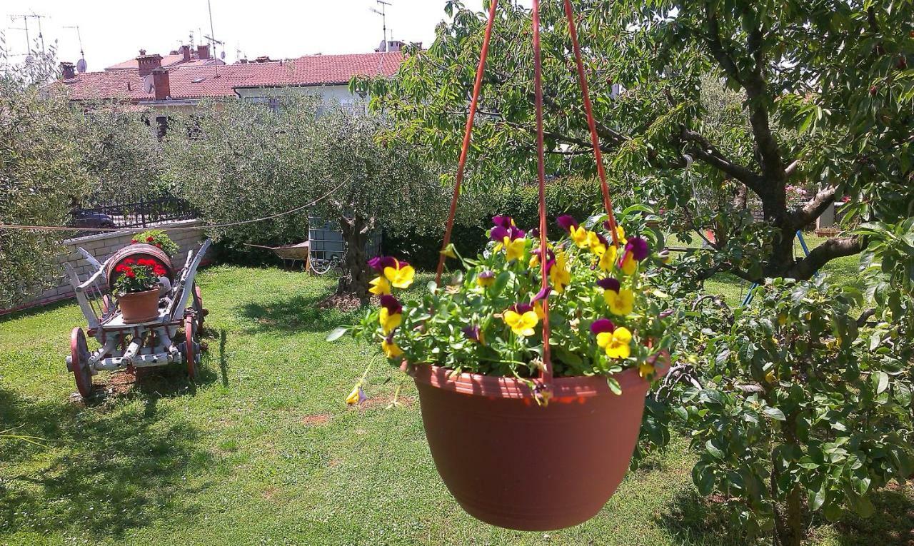 Benassi Porec
