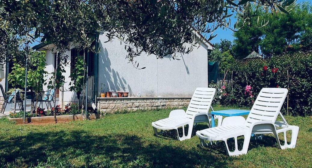 Appartamento Benassi *